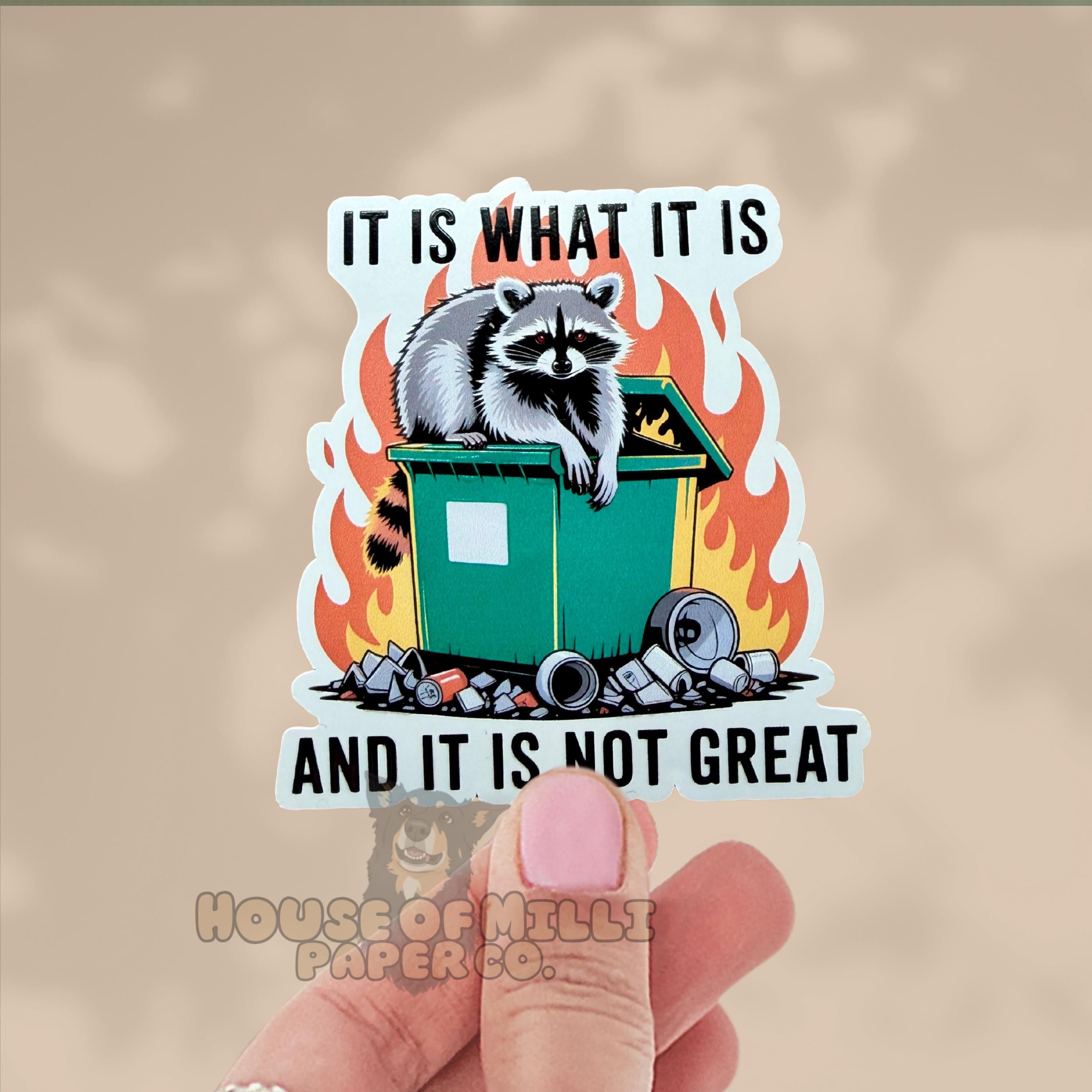 It Is What It Is, and It Is Not Great Dumpster Fire Sticker: Funny Racoon Decal
