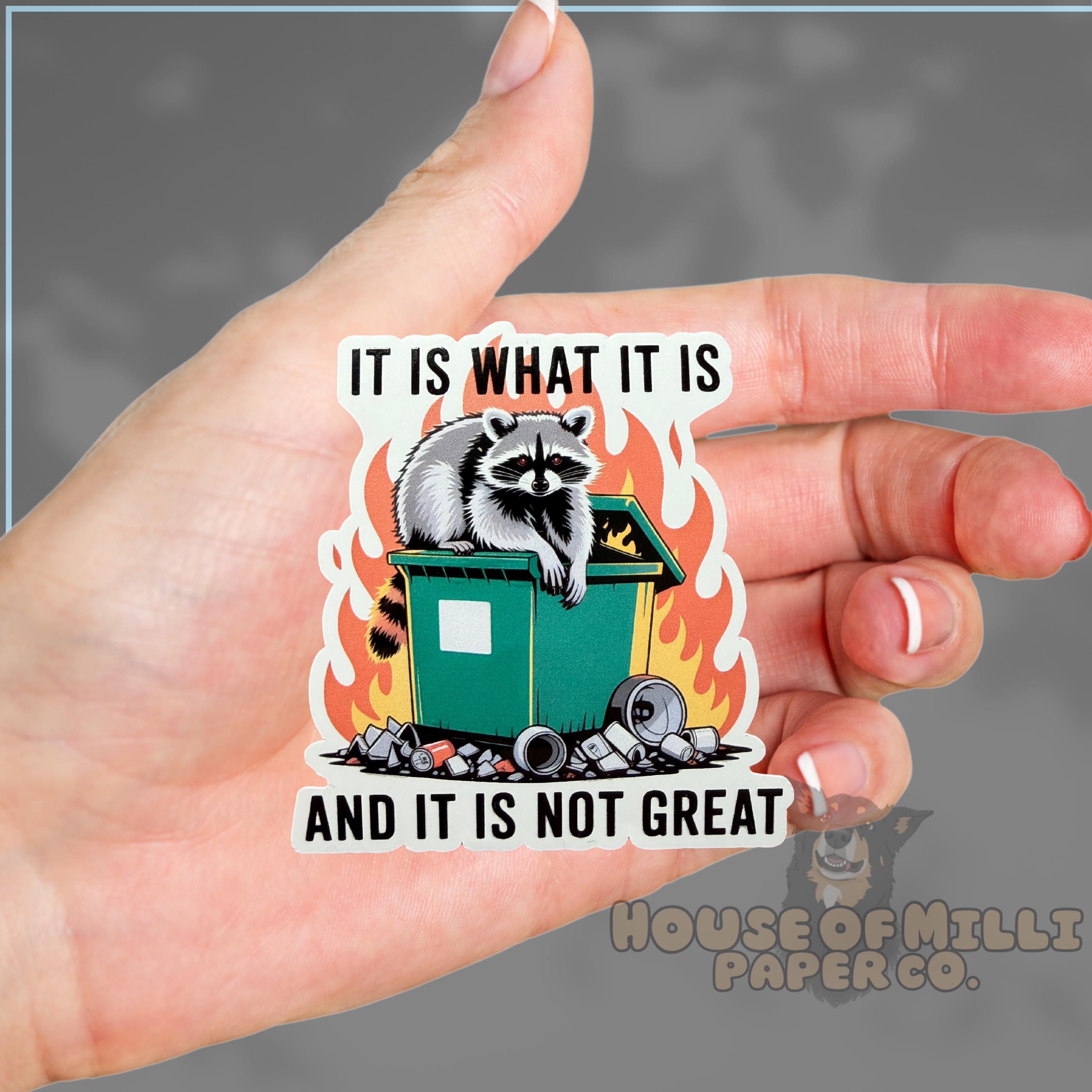 It Is What It Is, and It Is Not Great Dumpster Fire Sticker: Funny Racoon Decal